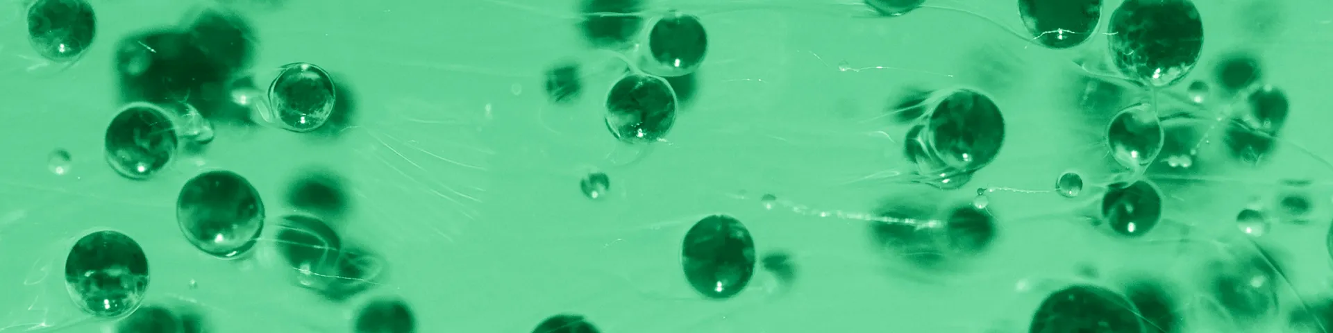 Algae Communication & Media