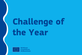 challenge
